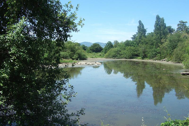 2011-05- (337).JPG - Étang du Battoir